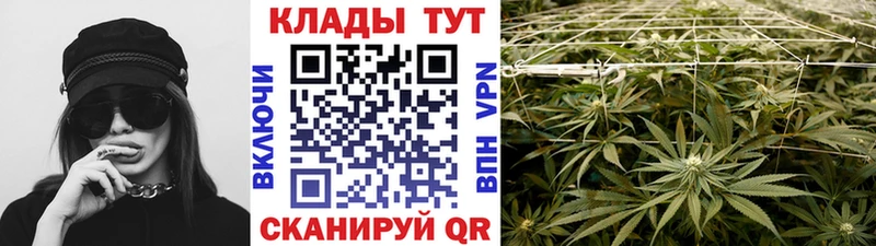 Какие есть наркотики Рыбное Конопля A-PVP МДМА Меф мяу мяу Псилоцибиновые грибы