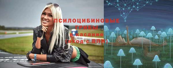 каннабис Аркадак