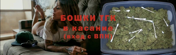 PSILOCYBIN Каменка
