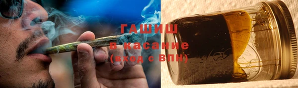 гидра Арсеньев