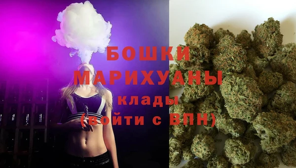 гидра Арсеньев