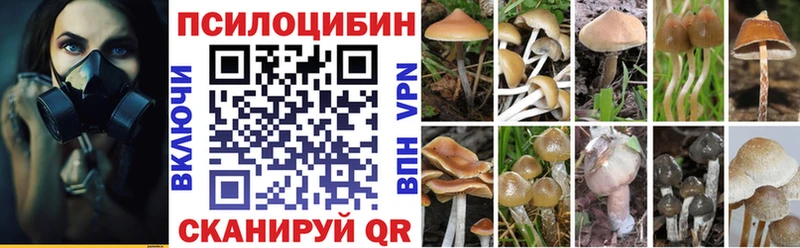 где продают наркотики  блэк спрут ТОР  Галлюциногенные грибы прущие грибы  Рыбное 